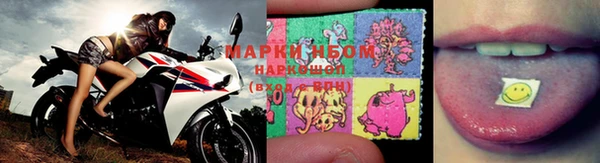 apvp Аркадак