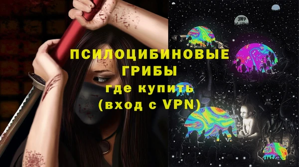 apvp Аркадак