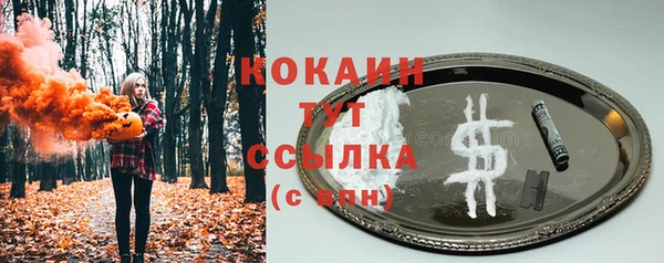 соль курить ск Пересвет