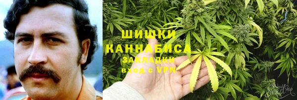 apvp Аркадак