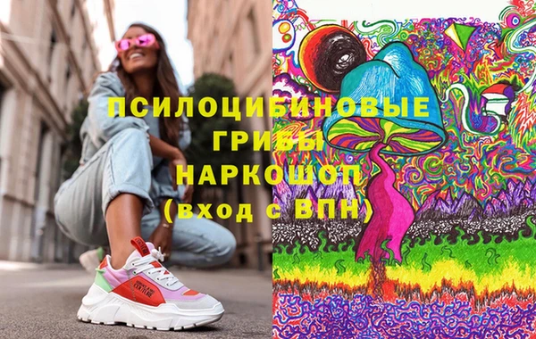 apvp Аркадак