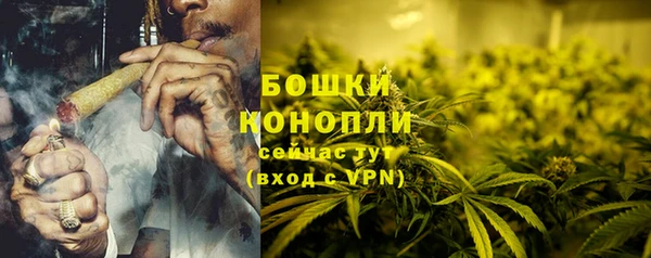 apvp Аркадак