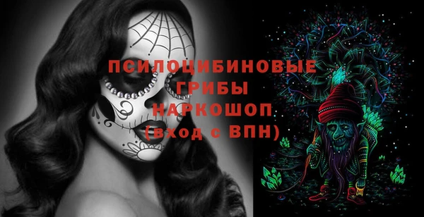 прущий лед Арсеньев