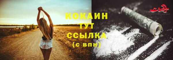 прущий лед Арсеньев