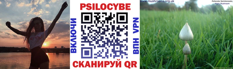 Псилоцибиновые грибы мицелий  где продают наркотики  Пугачёв 